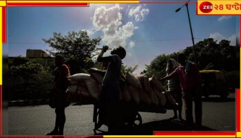 Weather Update: ফের দক্ষিণবঙ্গে তাপপ্রবাহের সতর্কবার্তা, কবে আসবে স্বস্তির বৃষ্টি?