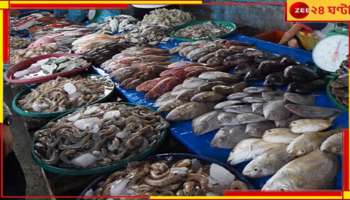 Chinsurah News: ফর্মালিন দেওয়া মাছ বিক্রি! অভিযোগে তদন্তে বাজার অভিযানে স্বাস্থ্য দফতর...