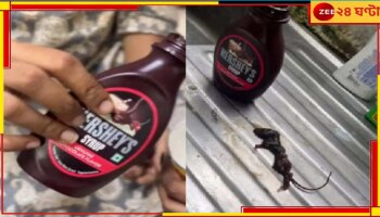 HERSHEY'S Chocolate Syrup: আইসক্রিমে কাটা আঙুল-বিছের পর এবার হার্শেস-এর চকোলেটে মরা ইঁদুর