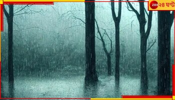 Bengal Weather Update: রবিবিকেলের মধ্যেই সর্বত্র ঢুকে পড়ছে বহু প্রতীক্ষিত মৌসুমি বায়ু! আজই নববর্ষার প্লাবন?