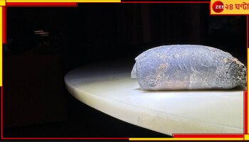 Space Debris: এই প্রথম! মহাকাশ থেকে বাড়ির উপর বর্জ্য এসে পড়ায় নাসার বিরুদ্ধে মামলা...