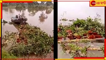 Cooch Behar: কলাগাছের গুঁড়ি-বাঁশ দিয়ে বেঁধে বাংলাদেশে পাচার, ৬০টি গোরু আটক করল বিএসএফ