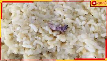 Sonarpur: গর্ভবতী মহিলা-পড়ুয়াদের খিচুড়িতে মরা ইঁদুর! বমি অনেকেরই...