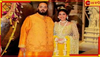 Anant-Radhika Wedding: ৫০০০ কোটির বিয়ে অনন্ত-রাধিকার! খরচ সম্পত্তির মাত্র ০.৫ শতাংশ...