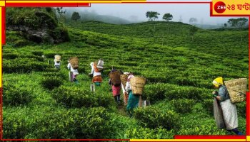 Mal: চা বাগানে অমানবিক অত্যাচারের শিকার নাবালিকা, ধৃত ৪ নাবালক-সহ প্রেমিক