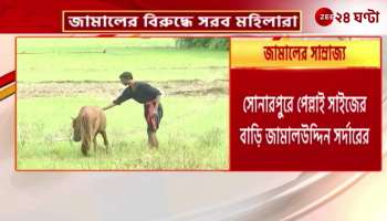 What does Jamaluddin do Income generation or what