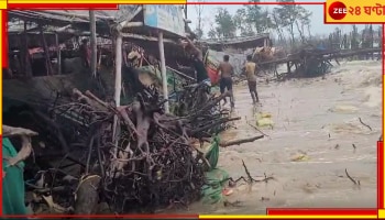 Tajpur: ভাঙছে পাড়, ডুবছে ঝাউবন! উত্তাল সমুদ্রঢেউ গ্রাস করে নিচ্ছে তাজপুর...
