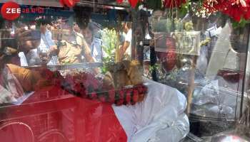 Buddhadeb Bhattacharjee: বুদ্ধবাবুর 'চোখ' দিয়েই 'ভবিষ্যত্‍' দেখবেন ওঁরা!