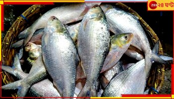 Hilsa| Bangladesh: রফতানি বন্ধ, বাংলাদেশে হু হু করে কমল ইলিশের দাম