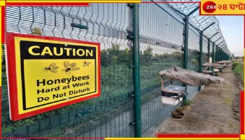 India-Bangladesh Border | Project Sting: বাংলাদেশি অনুপ্রবেশ ঠেকাতে সীমান্তে মোতায়েন মৌমাছি, অদ্ভুত বুদ্ধি এঁটেছে BSF...