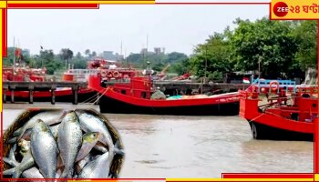 Hilsa: বাধ সেধেছে আবহাওয়া, রান্নাপুজোতেও বাঙালির পাতে পড়বে না ইলিশ!