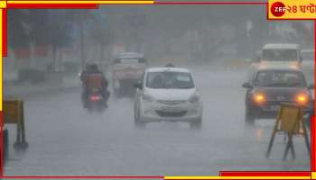 Pujo Weather: নিম্নচাপের জেরে পুজো ভাসাবে বৃষ্টি? বড় আপডেট জানিয়ে দিল আবহাওয়া দফতর...