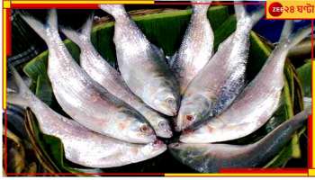 Bangladesh|Hilsa:'ইলিশ মাছ পূজার সঙ্গে সম্পর্ক নয়'!