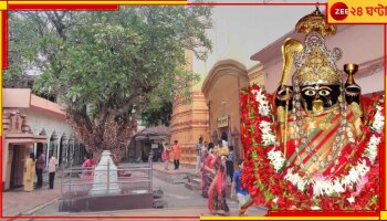 Bargabhima Temple | Durga Puja Special: চিরাচরিত প্রথা ভেঙে এই প্রথম মা বর্গভীমার ঘুম ভাঙানো হবে ভোররাতেই! কেন জানেন?