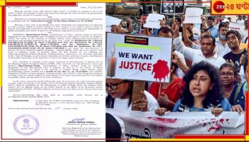 Durga Puja Carnival: মুখ্যসচিবের অনুরোধ উড়িয়ে 'দ্রোহের কার্নিভাল' ডাক্তারদের! অশান্তি এড়াতে জারি ১৬৩ ধারা...