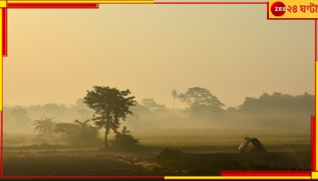 Bengal Weather Update: এবার শুরু শুষ্ক আবহাওয়ার দিন! জেনে নিন পাকাপাকি ভাবে কবে থেকে পড়ছে শীত...