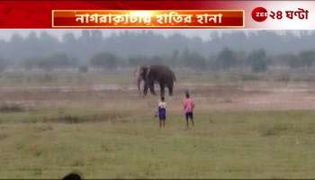 Injured by elephant attack 3