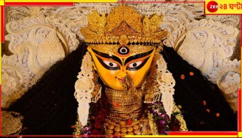 Jagaddhatri Puja 2024: আড়াইশোটা বছর পেরিয়েছে ঐতিহ্যপূর্ণ 'বুড়িমা' জগদ্ধাত্রীর! জানুন এর ইতিহাস...