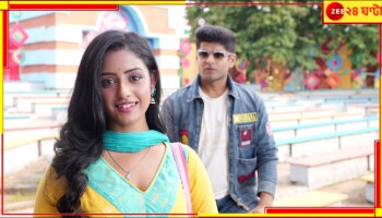 TV Serial: ছোট শহর থেকে মেট্রো সিটিতে এসে নাজেহাল, স্বপ্নপূরণের পথে 'পরিণীতা'...