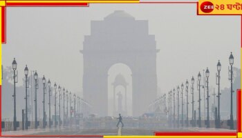 Delhi Pollution: ঘন কালো কুয়াশার চাদরে ঢেকেছে রাজধানী! স্কুল বন্ধের সিদ্ধান্ত সরকারের...