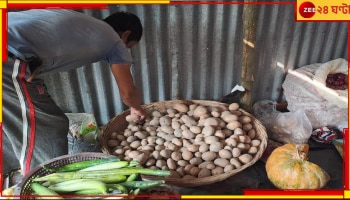 Jalpaiguri: আলু ৬০ টাকা কিলো, যে কোনও সবজিই ১০০ টাকা ছুঁইছুঁই! কবে কমবে বাজারদর?