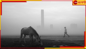 Bengal Weather Update: ১২ ডিগ্রির ঘরে ঘুরছে তাপমাত্রা! সপ্তাহশেষে কি আরও নামবে পারদ? এবার রাজ্য জুড়েই কড়া শীত...