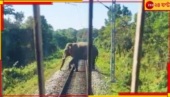 Malbazar: আবার ব্রেক কষে ট্রেন দাঁড় করিয়ে হাতির প্রাণ রক্ষা করলেন চালক...