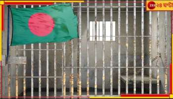 Bangladeshi Arrest: শুধুমাত্র দক্ষিণে দিনাজপুরেই জেলবন্দি ১৮০ বাংলাদেশি! রয়েছে নাবালকও... 