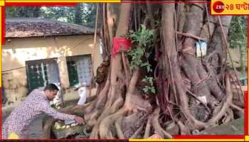 Jalpaiguri: গাছেদের বিয়ে! গায়ে হলুদ-কন্যাদান, এ এক আশ্চর্য বিবাহ অভিযান...