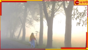 Bengal Weather Update: বছর শুরুতেই নামবে পারদ, ঘন কুয়াশার সতর্কবার্তা! বছরে শুরু নতুন শীত দিয়ে... 