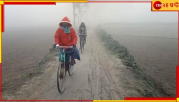 WB Weather Update: নতুন বছরে একলাফে ৩ ডিগ্রি কমল তাপমাত্রা, শীতের এই আমেজ কতদিন...