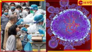 HMPV Virus in India: শেষরক্ষা হল না, ভারতেও থাবা চিনের মারাত্মক ভাইরাসের! এবার...