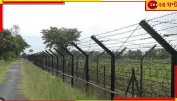 India Bangladesh Border: সীমান্তে অনুপ্রবেশ! ভারতীয় ভূ-খণ্ডে ঢুকতেই BSF-র তাড়া খেয়ে পালাল BGB...