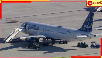 Bodies Found In Plane's Wheel: ভয়ংকর! ল্যান্ড করার পরে চোখে পড়ল বিমানের চাকায় পচাগলা একাধিক দেহ...