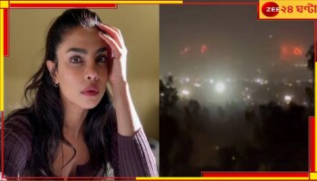 Priyanka Chopra | wildfires in Hollywood : দাউ দাউ করে জ্বলছে 'হলিউড', দাবানলে পুড়ে ছাই একাধিক তারকার বাড়ি, আতঙ্কে প্রিয়াঙ্কা...