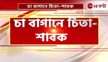 Cheetah cubs in the tea garden have been evacuated on the orders of the forest department