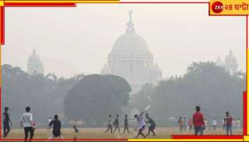 Weather Update: ঘন কুয়াশায় ঢাকবে বাংলা! সংক্রান্তিতে জাঁকিয়ে শীতের সম্ভাবনা...