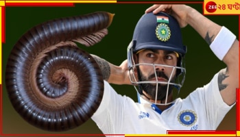 Virat Kohli: &#039;নির্বোধের মতো কাজকর্ম বন্ধ করুক&#039;! কিংকে কেন্নো বানালেন চ্যাপেল