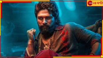 Allu Arjun: রাগী 'পুষ্পা' এবার ভগবান কার্তিক! প্রযোজক জানালেন, 'এরকম ছবি আগে কেউ কখনও দেখেনি...'