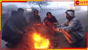 WB Weather Update: আরও নামবে তাপমাত্রা, বিদায় নিতে গিয়েও কি ফিরছে হাড়কাঁপানো শীত!