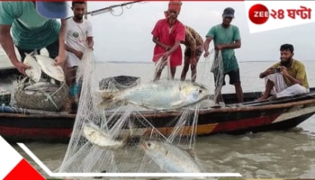 Bangladesh | Hilsha: এবার আর পাতে পড়বে না পদ্মার ইলিশ! পদ্মা-মেঘনায় বন্ধ মাছ ধরা...