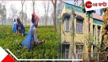 Tea Auction Center: ১০ বছর ধরে বন্ধ! ফের জলপাইগুড়িতে চালু হচ্ছে চা-নিলাম কেন্দ্র...