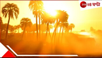 Hottest Year 2025: ভয়াবহ! ধেয়ে আসছে গ্লোবাল ওয়ার্মিংয়ের অবিশ্বাস্য স্রোত? এ বছর জ্বলেপুড়ে খাক হয়ে যাবে সব...