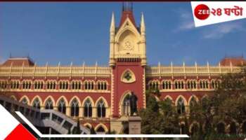 Calcutta High Court: &#039;আজকাল পালং শাক কেনার মতো হাইকোর্টে অর্ডার দেওয়া হচ্ছে&#039;!