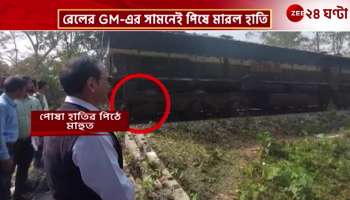 Alipurduar Elephant Attack Railway Worker Crushed to Death by Elephant Brought for Demo Work 