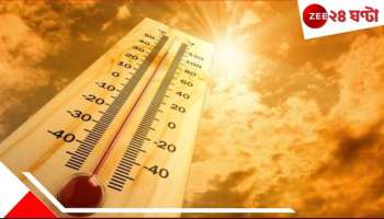 WB Weather Update: বসন্তের দিন শেষ! চড়চড়িয়ে বাড়বে তাপমাত্রা, রেকর্ড ব্রেক গরম...