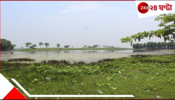Bhabadighi Rail Project: &#039;আড়াই লক্ষের চেয়ে আড়াইশোর স্বার্থ বড় নয়&#039;! তারকেশ্বর-বিষ্ণুপুর রেল প্রকল্প নিয়ে মন্তব্য আদালতের...