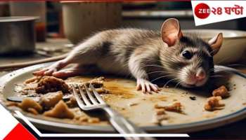 Dead Rat In Food: মাঞ্চুরিয়ানে লুকিয়ে ইঁদুর! রেস্তরাঁয় খেতে গিয়ে ঝোলের মধ্যে থেকেই...  