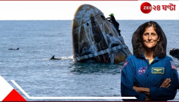 WATCH | Dolphins welcome Sunita Williams: চারিদিকে একঝাঁক ডলফিন! পৃথিবীতে সুনীতাদের জম্পেশ জলজ ওয়েলকাম... 