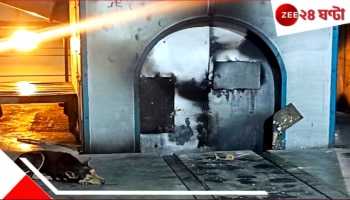 Pet waits in crematorium: মালিক আর নেই! দু'বছর ধরে চুল্লির সামনেই শুয়ে অপেক্ষারত প্রিয় পোষ্য কুকুর...